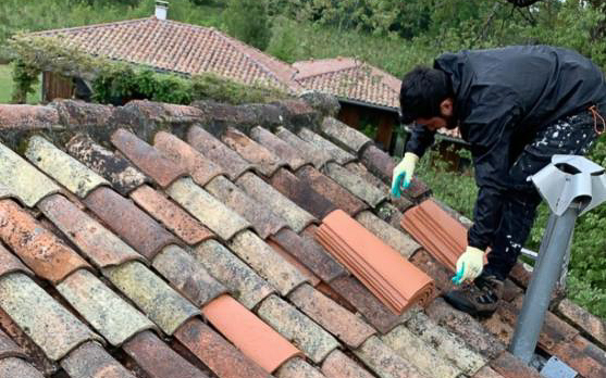 Entretien toiture tuile pays basque